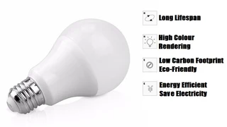 6W 12V E27 and B22 BULK SALE: 100x LED Light Bulbs. Ideal For Loadshedding and 12V Solar Systems.