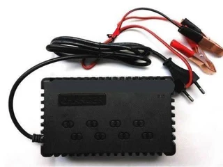 Intelligent Pulse Battery Chargers 12Volts 7A ~ 70A. Smart Trickle Versions. Brand New Products.