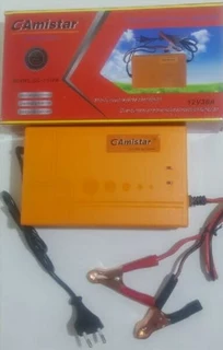 Intelligent Pulse Battery Chargers 12Volts 30Amps. Smart Trickle Versions. Brand New Products.