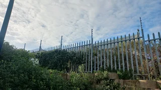  Don’t let unwanted critters crash your festive season! 