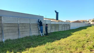  Don’t let unwanted critters crash your festive season! 