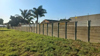  Don’t let unwanted critters crash your festive season! 