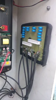  Don’t let unwanted critters crash your festive season! 