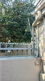  Don’t let unwanted critters crash your festive season! 