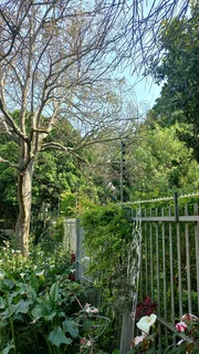  Don’t let unwanted critters crash your festive season! 