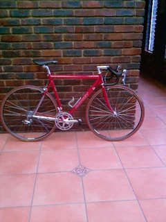 Racer, Aluminium Frame, Carbon Fork, Shimano Ultegra Group Set