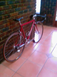 Racing Bike - Carbon Fork, Ultegra Group set