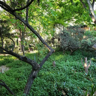 Furnished Garden Cottage In Chartwell North