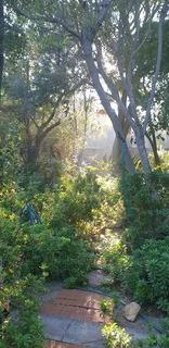 Large furnished cottage with a view on the garden in Chartwell  North