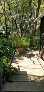 Quaint, furnished two-bedroom garden cottage in Chartwell North