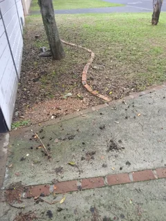 Yard cleaning and Mowing services