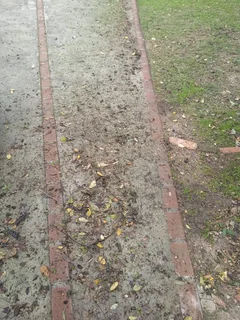 Yard cleaning and Mowing services