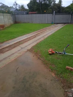 Yard cleaning and Mowing services