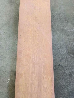 Burmese Ironwood