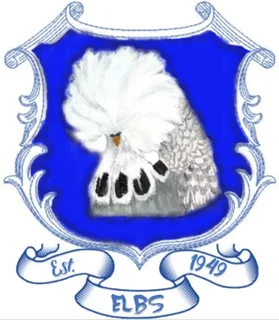 Did You Know! East London Has a Budgie Club?