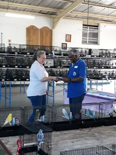 Are you Breeding Show Budgie&#39;s? Why not join the East London Budgeriga