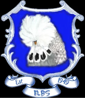 Are you Breeding Show Budgie&#39;s? Why not join the East London Budgeriga