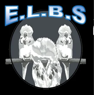 Do you Love Budgies? The East London Budgerigar Society can assist you any budgie related queries
