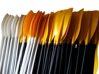 Kayak Paddles - "Cobra" and "Resort"  - proudly made in S.A.