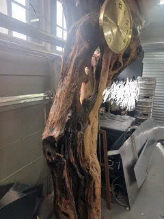 Rare stand alone Wild Olive knarled, ornamental tree trunk that stands just under 7 foot Knysna