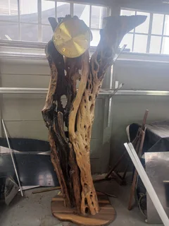 Rare stand alone Wild Olive knarled, ornamental tree trunk that stands just under 7 foot Knysna