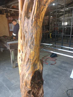 a unique, aged African Wild Olive (Olea europaea subsp. africana) tree trunk feature, Knysna