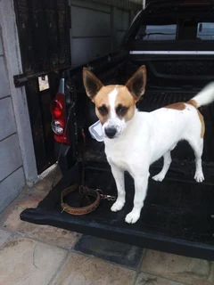 Bakkie n driver for hire 24/7 service