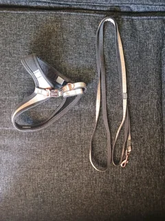 ROGZ dog accessories and more for sale