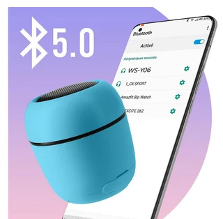 Bluetooth 5.0 Speaker 5W Radio FM Microphone And Wrist Strap -Blue