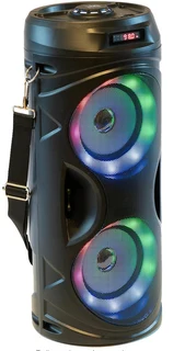 Boomer Speaker RS-700