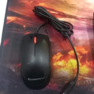 Second hand mouse