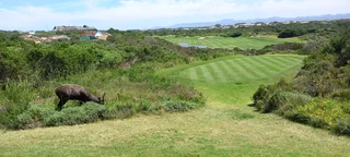 Golf/Security/Lifestyle Estate, NEW 4 Bedroom House, St Francis Links