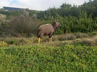Beachfront Plot, Best INVESTMENT, Paradise Beach, Jeffreys Bay