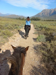 Livery / Stabling  Worcester