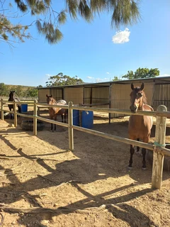 Livery / Stabling  Worcester