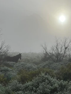Livery / Stabling  Worcester
