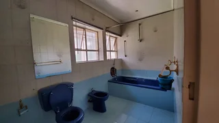 Self contained Cottage Flat Apartment for rent Bedfordview. 24hr Street security Boomed Sub Cameras