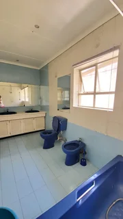 Self contained Cottage Flat Apartment for rent Bedfordview. 24hr Street security Boomed Sub Cameras