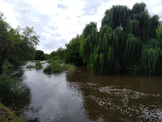 PARADISE DISCOVERED - 17 HA RIVER FRONT PROPERTY