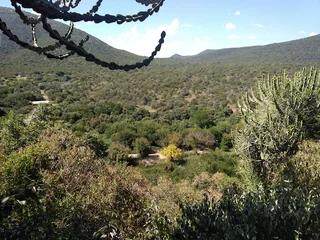 PARADISE DISCOVERED - 17 HA RIVER FRONT PROPERTY