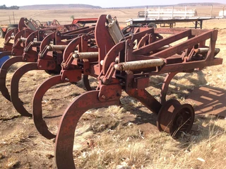 11 Tand Radium ripper