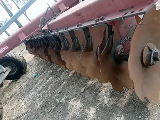 28 Skottel Baldan dis