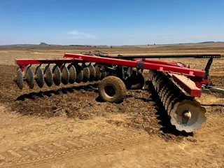 36 Skottel Baldan dis