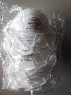 Building Construction Cleaning Repairs - Dust Molded Duckbills Masks  Clearance