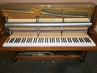 Otto Bach Piano in excellent condition with delivery and tuning included in Gauteng