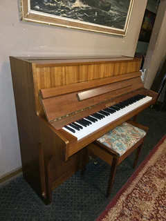 Otto Bach Piano in excellent condition with delivery and tuning included in Gauteng