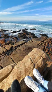 School transport wanted. Crawford to Pinelands.