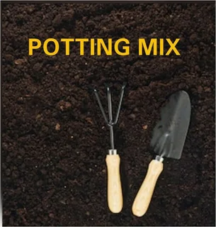 Potting Soil