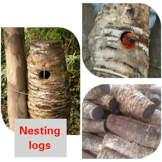 Nesting Logs