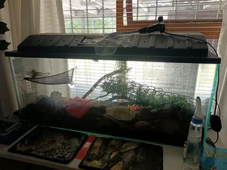 Fish tank&#43; accessories for Gecko